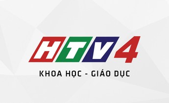 Lịch phát sóng HTV4